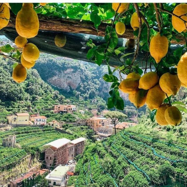 La Valle Delle Ferriere Bed and Breakfast Amalfi Exterior foto